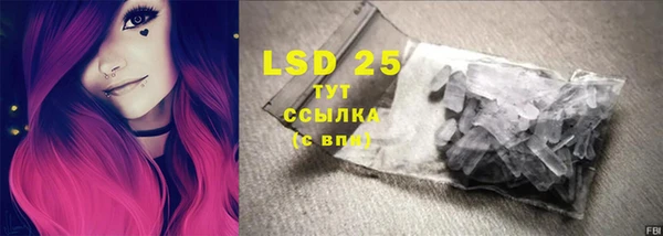 PSILOCYBIN Баксан