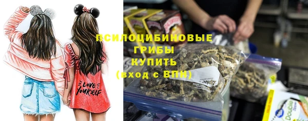 PSILOCYBIN Баксан