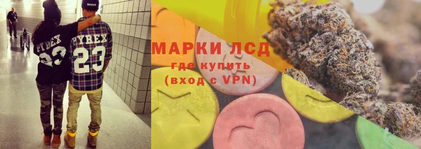 PSILOCYBIN Баксан