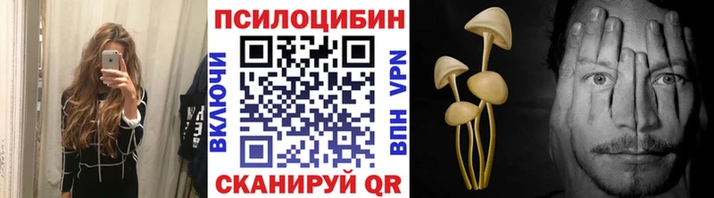 Псилоцибиновые грибы Cubensis  как найти закладки  Богданович 